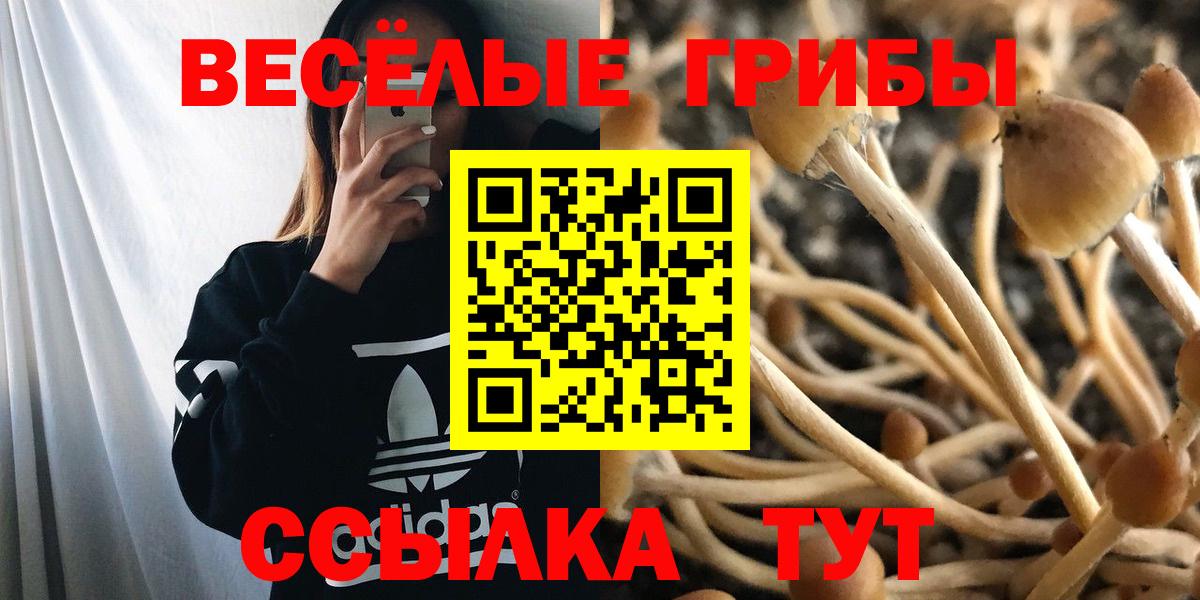 Псилоцибиновые грибы Magic Shrooms  Псилоцибиновые грибы ЛСД  Чехов  Вход с VPN 